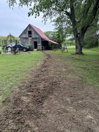 A dirt road leads to a barn, with a horse standing nearby and a dog sitting on the ground.