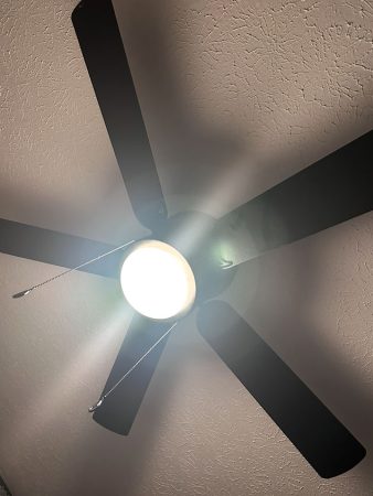 Ceiling fan with a light fixture, mounted on a white ceiling, spinning gently in a well-lit room.